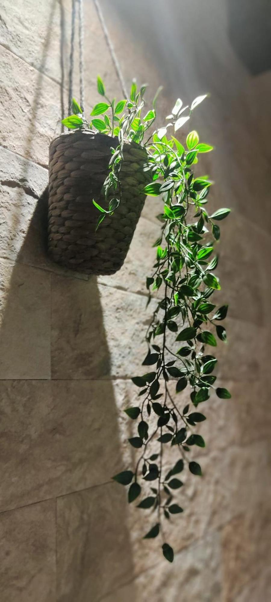Dimora Al Saraceno Hotell Ferrara Exteriör bild